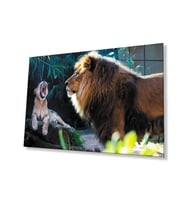 Aslan Hayvan Cam Tablo 4mm Dayanıklı Temperli Cam