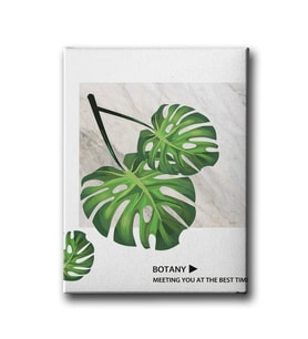 Botanik Canvas Tablo MİND770