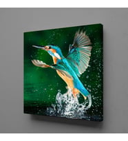RENKLİ KUŞ KANVAS TABLO 180x180cm