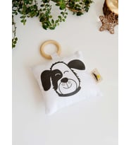 Köpek Diş Kaşıyıcı