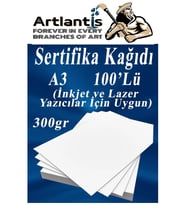 A3 Sertifika Kağıdı Kalın 100 Adet Gramajlı Fotokopi Kağıdı 300 gr Tüm Yazıcılara Uyumlu 29.7x42 cm Kalın Baskı Kağıdı (Beyaz)