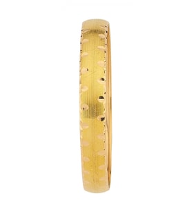 22 Ayar 10 Gr Bilezik - BZK33 (Çok Renkli)