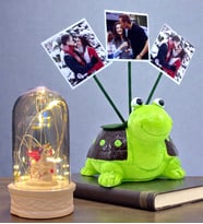Kişiye Özel Hediye Seti 3 Fotoğraflı Sevimli Yeşil Kaplumbağa ve Led Işıklı Fanus (Model 2)