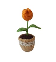 Örgü Tekli Turuncu Lale Amigurumi Organik Oyuncak