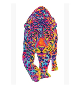 Gökkuşağı Jaguar Tablo Ahşap Poster Dekoratif