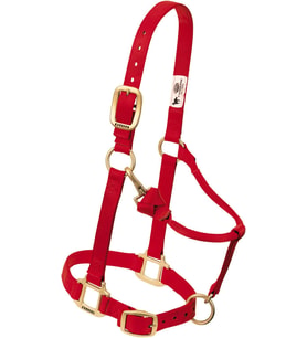 Weaver Leather Naylondan yular, ayarlanabilir, 2,5 cm, kırmızı