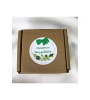 Kına Sticker Yeşil Fiyonk Yapraklar Kınamıza Hoşgeldiniz Mat Etiket 4 cm (100 Adet)