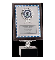 ODAK KUPA - Ahşap Plaketler - PL-050 A - 18x24 cm