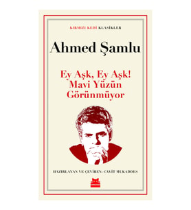 Ey Aşk, Ey Aşk! Mavi Yüzün Görünmüyor