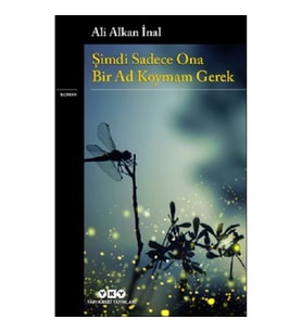 Şimdi Sadece Ona Bir Ad Koymam Gerek