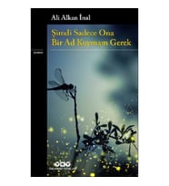Şimdi Sadece Ona Bir Ad Koymam Gerek