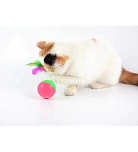 Kedi Fare Hacıyatmaz Oyunu