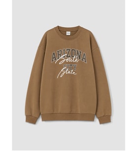 LCW Kids Kahverengi Baskılı Erkek Çocuk Sweatshirt
