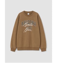 LCW Kids Kahverengi Baskılı Erkek Çocuk Sweatshirt