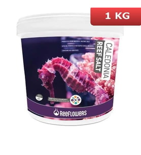 ReeFlowers Caledonia Reef Salt Akvaryum Deniz Tuzu 1 Kg AÇIK