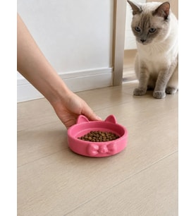 Papyon Model Beton Kedi Köpek Mama ve Su Kabı 16 cm çap - Pembe
