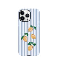 iPhone 13 Pro Vorian Çift Katmanlı MagSafe Kılıf Mini Lemon Riviera