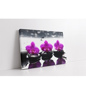 Spa Taşları ve Orkide (A.ALTIN)