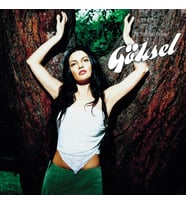 Göksel  2001 / 2007 En İyileri - Plak (Standart)