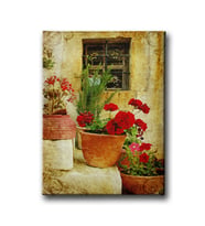 Çiçekler Kanvas Tablo YBD103