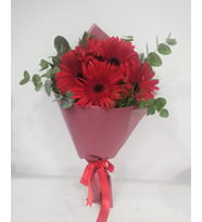 Kırmızı Gerbera Çiçek Buketi