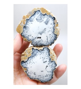 Dendritik Simya: Merlinit (Dendritik Opal) - Cilalı Çift