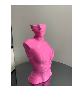 Pembe Renk Dekoratif Takı Mankeni Teşhir Standı 30 cm Takı Organizer Mücevher Küpe Kolye Sergileme