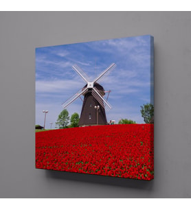 LALE TARLASINDA DEĞİRMEN KANVAS TABLO 80x80cm (Karışık)