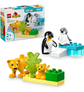 LEGO 10442 DUPLO® Vahşi Hayvan Aileleri: Penguenler ve Aslanlar