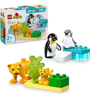 LEGO 10442 DUPLO® Vahşi Hayvan Aileleri: Penguenler ve Aslanlar