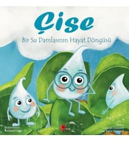 Çise: Bir Su Damlasının Hayat Döngüsü
