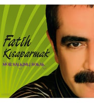 Fatih Kısaparmak Mor Salkımlı Sokak - Plak (Standart)