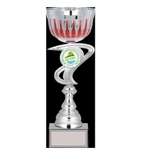 ODAK KUPA - Large Kupalar - L-038 C - 36 cm