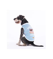 Pawstar Kedi ve KÜÇÜK Köpek T-Shirt Ice Blue Lazy L Sırt33cm Göğüs46cm Boyun30cm