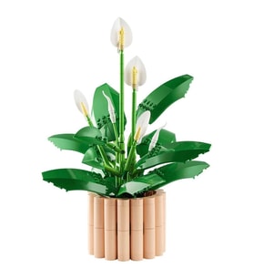 LEGO Botanicals Barış Çiçeği 11504
