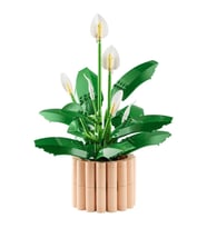 LEGO Botanicals Barış Çiçeği 11504