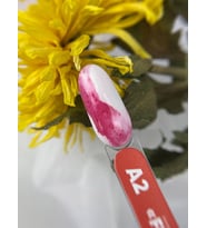 Sulu Boya Fine Art A2 Akvarel Damla Kırmızı 8 ml Nail Art Tasarım Boyası