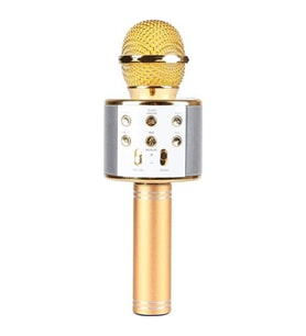 Ws-858 Karaoke Mikrofon - Gold