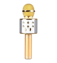 Ws-858 Karaoke Mikrofon - Gold