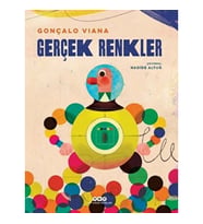 Gerçek Renkler