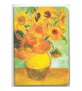 DEFFTER YAZMAK İÇİN BİR MİLYON NEDEN NOT DEFTERİ 10.5x14.8cm ÇİZGİLİ - TEKLİ