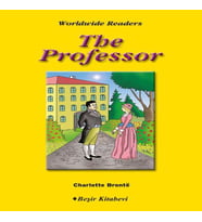 Level 6 - The Professor