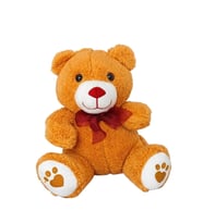 Peluş Ayıcık