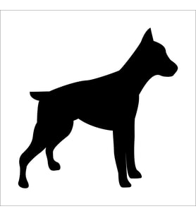 KÖPEK FOLYO STİCKER DERSTV868 100cm Uzunluk (Karışık)