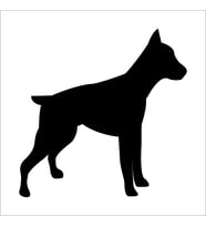 KÖPEK FOLYO STİCKER DERSTV868 100cm Uzunluk (Karışık)
