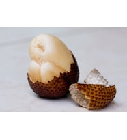 Yılan Meyvesi, Salacca, Snake Fruit (adet)