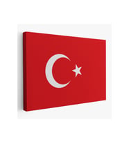 Türk Bayrağı Dekoratif Kanvas Duvar Tablosu-3668