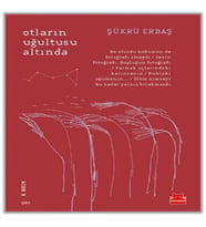 Otların Uğultusu Altında