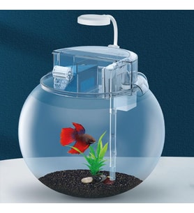 Jeneca YG-25 Fanus Akvaryum Seti 24x24x24 Cm (5,8L)