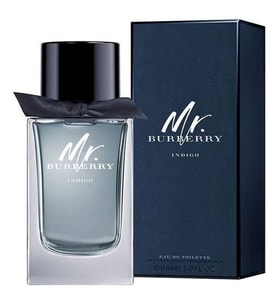 Burberry Mr. Burberry Indigo EDT 100 ml Erkek Parfüm